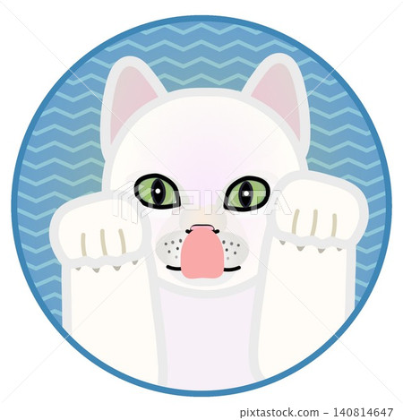 Cat face illustration with a circular background Cat face illustration with a circular background 140814647