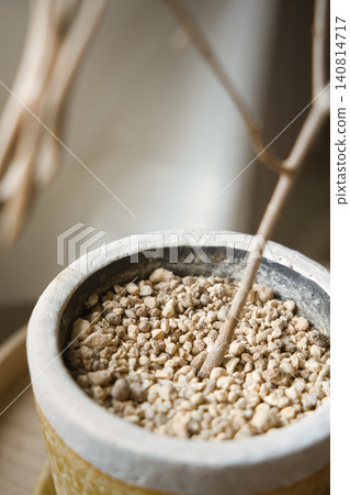 Flowerpot and withered houseplant ① Flowerpot and withered houseplant ① 140814717