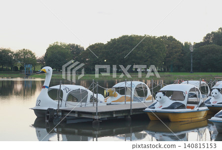 天鵝船漂浮在公園的池塘上。這幅充滿懷舊氣息的景象象徵著熱鬧非凡的假日家庭聚會。 140815153