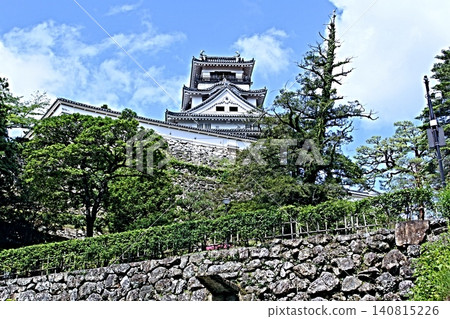Kochi Castle Kochi Castle 140815226