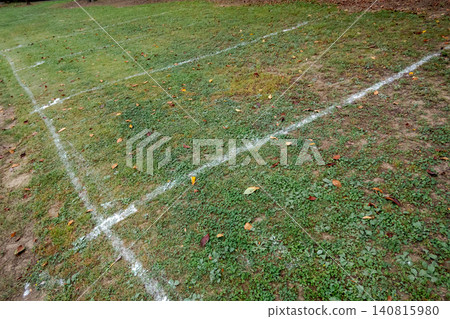 White lines on the ground, scattered with fallen autumn leaves. 140815980