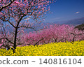 Springtime paradise in Yamanashi Springtime paradise in Yamanashi 140816104