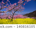Springtime paradise in Yamanashi Springtime paradise in Yamanashi 140816105