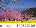 Springtime paradise in Yamanashi Springtime paradise in Yamanashi 140816106
