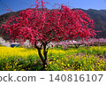 Springtime paradise in Yamanashi Springtime paradise in Yamanashi 140816107