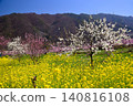 Springtime paradise in Yamanashi Springtime paradise in Yamanashi 140816108