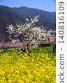 Springtime paradise in Yamanashi Springtime paradise in Yamanashi 140816109