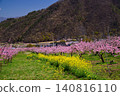 Springtime paradise in Yamanashi Springtime paradise in Yamanashi 140816110
