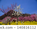 Springtime paradise in Yamanashi Springtime paradise in Yamanashi 140816112
