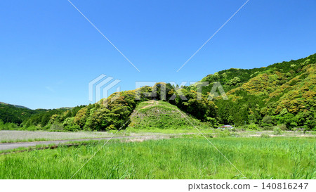鬱鬱蔥蔥的鄉村景色，正值新葉萌發的季節。 140816247