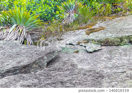 Broken fallen rock on walking trail Rio de Janeiro Brazil. 140816559