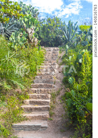Walking path trail staircase rainforest mountains Rio de Janeiro Brazil. Walking path trail staircase rainforest mountains Rio de Janeiro Brazil. 140816763