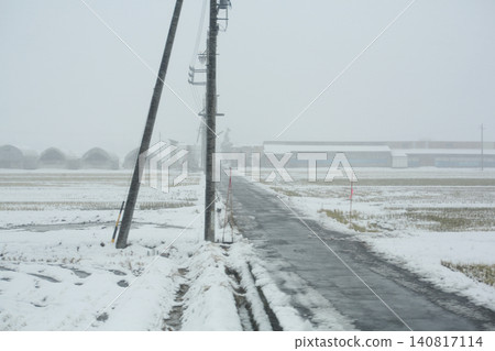 暴風雪中的電線桿和道路 暴風雪中的電線桿和道路 140817114