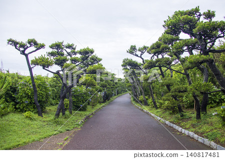 Jogashima, the southernmost island of Kanagawa Prefecture, during the rainy season. 140817481