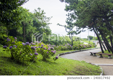 梅雨季節的城島,神奈川縣最南端的島嶼。 梅雨季節的城島,神奈川縣最南端的島嶼。 140817492