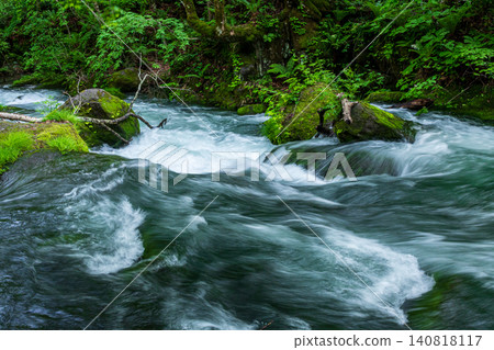 The swift current of the Ashura Stream (Oirase Gorge) The swift current of the Ashura Stream (Oirase Gorge) 140818117