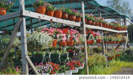 Colorful hanging flower pots decorating a garden center 140818416