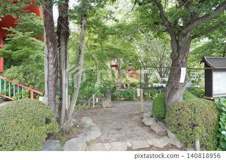 金剛寺、高畠不動尊寺、繡球花 140818956