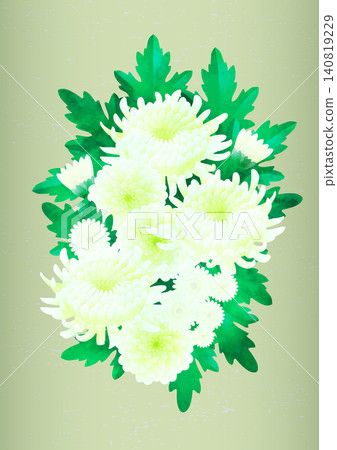 水彩風格的白色菊花花束向量插圖 - 綠色 140819229