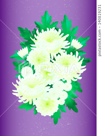 Watercolor-style vector illustration of a bouquet of white chrysanthemums, purple. Watercolor-style vector illustration of a bouquet of white chrysanthemums, purple. 140819231