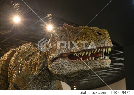 A close-up of the head of a realistically recreated, moving Tyrannosaurus Rex robot at a museum. A close-up of the head of a realistically recreated, moving Tyrannosaurus Rex robot at a museum. 140819475