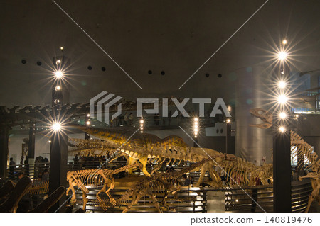 A breathtaking museum exhibit featuring illuminated full-body dinosaur skeletons. A breathtaking museum exhibit featuring illuminated full-body dinosaur skeletons. 140819476