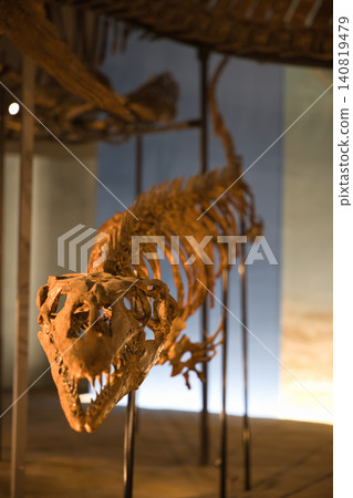 A powerful, frontal view captures the fossil of an ancient carnivorous dinosaur with sharp teeth. A powerful, frontal view captures the fossil of an ancient carnivorous dinosaur with sharp teeth. 140819479