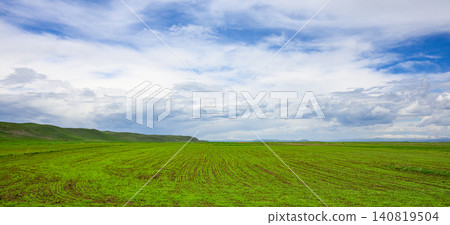 Wide grassy plain under dynamic sky 140819504
