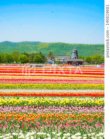 Kamiyubetsu Tulip Park: A breathtaking sight in Hokkaido Kamiyubetsu Tulip Park: A breathtaking sight in Hokkaido 140819681