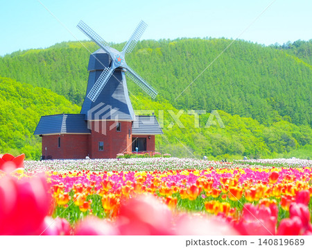 Kamiyubetsu Tulip Park: A breathtaking sight in Hokkaido Kamiyubetsu Tulip Park: A breathtaking sight in Hokkaido 140819689