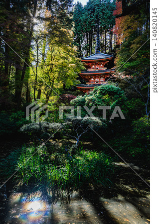 岩代寺的庭院裡遍佈高大的雪松樹,秋色宜人。 岩代寺的庭院裡遍佈高大的雪松樹,秋色宜人。 140820145