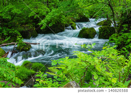 The fresh greenery of Ishigato and the flow of the river The fresh greenery of Ishigato and the flow of the river 140820388