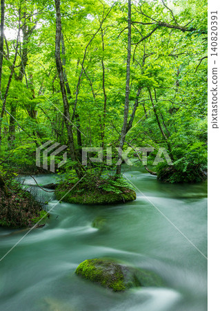 The Oirase Stream flows through a lush green landscape. 140820391