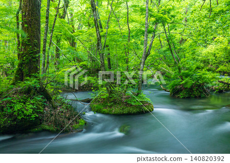 The fresh greenery of Oirase and its timeless flow 140820392