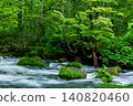 Forest stream (Oirase Stream) 140820460