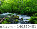 A mountain stream flowing through a fresh green forest 140820461