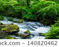 Fresh green stream 140820462