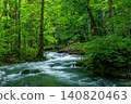 A river flowing through a lush, green mountain stream (Oirase Stream) 140820463