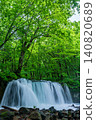 A forest of fresh greenery and a waterfall (Oirase Stream) 140820689