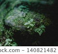 Sustainable green landscapes spreading across the ancient capital in early summer 140821482