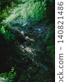 A refreshing scene of a babbling brook in Kamakura, with sunlight filtering through the trees. 140821486