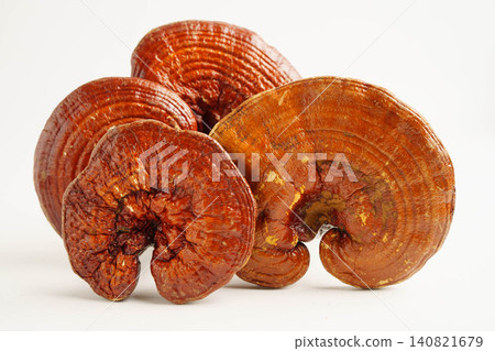 Lingzhi or Reishi mushroom with capsules, organic natural healthy food. Lingzhi or Reishi mushroom with capsules, organic natural healthy food. 140821679