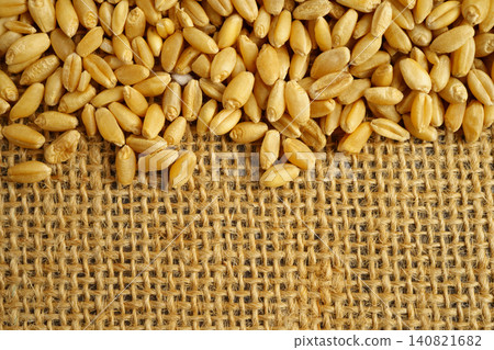 Wheat and grains ears agricultural, organic farm concept. 140821682
