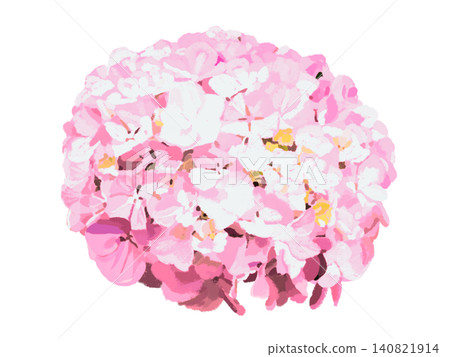 Hydrangea flowers (pink) Hydrangea flowers (pink) 140821914