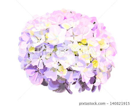 Hydrangea flowers (purple) 140821915