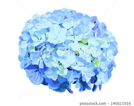 Hydrangea flowers (blue) Hydrangea flowers (blue) 140821916