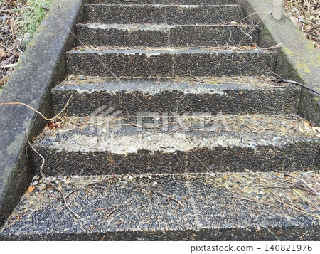 Park stairs, branches, fallen leaves Park stairs, branches, fallen leaves 140821976