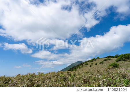 美麗的天空和鬱鬱蔥蔥的森林 美麗的天空和鬱鬱蔥蔥的森林 140821994