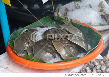 Fresh horseshoe crabs displayed ice at seafood market banana leaves highlighting local seafood freshness traditional market coastal food selection Fresh horseshoe crabs displayed ice at seafood market banana leaves highlighting local seafood freshness traditional market coastal food selection 140822120