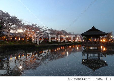 At Kaminuma Park at dusk, adorned with cherry blossoms (Higashimatsuyama City, Saitama Prefecture) At Kaminuma Park at dusk, adorned with cherry blossoms (Higashimatsuyama City, Saitama Prefecture) 140822125